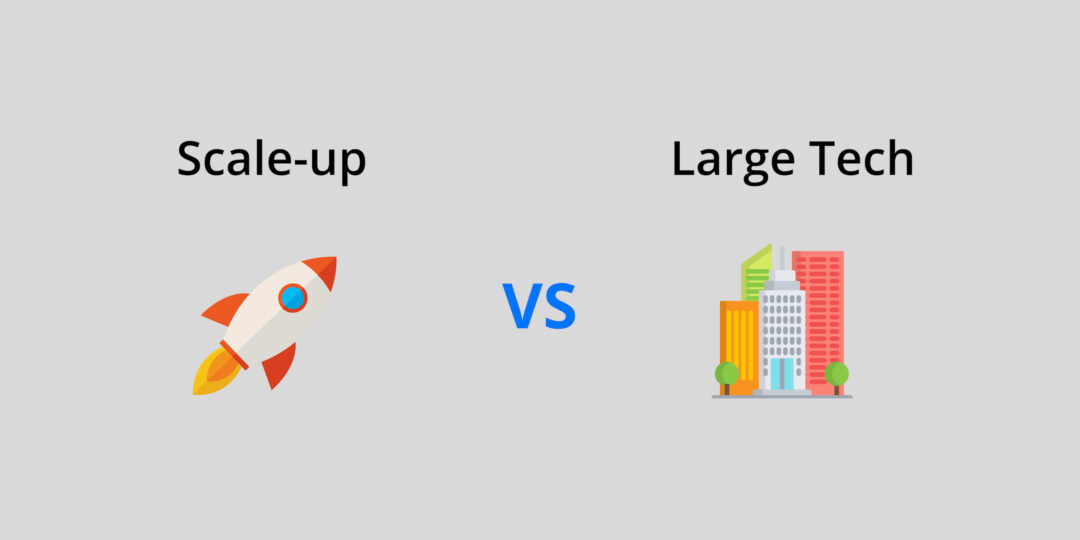 Recruitment Large Tech Companies vs. Scale-Ups